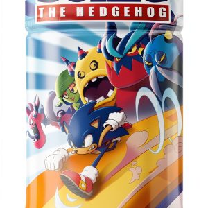Sonic The Hedgehog Comic Book IDW Graphic Novel Series-0